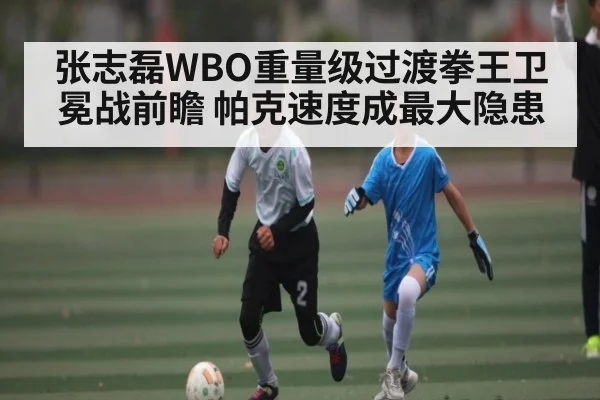 张志磊WBO重量级过渡拳王卫冕战前瞻 帕克速度成最大隐患 | kaiyun